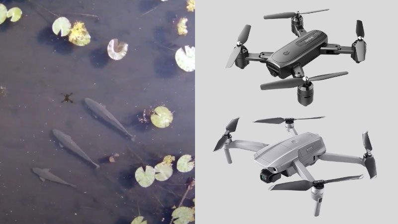 Drones For Fishing